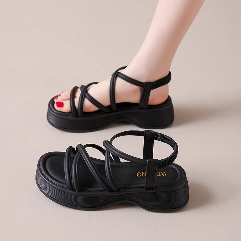 S8d1e7efacbd14a46b0ca1f000c4ee4534