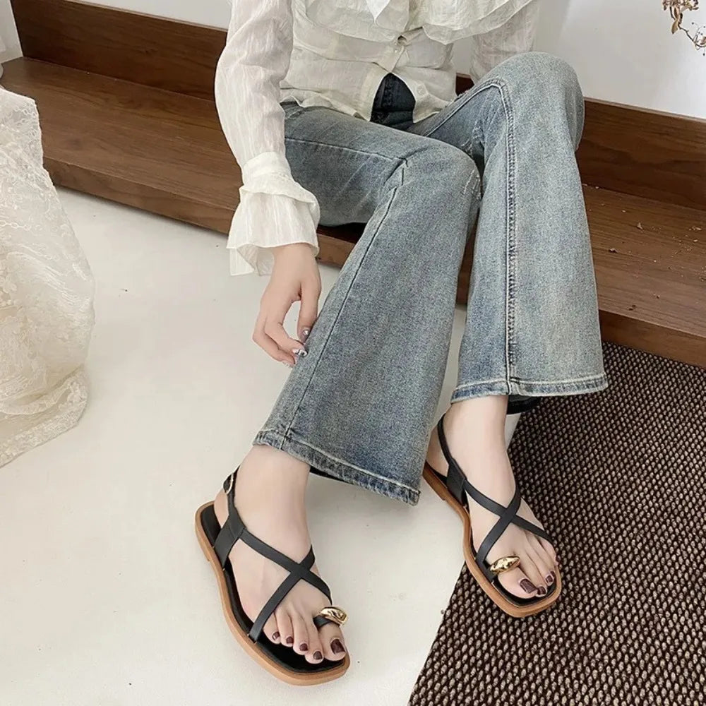 S2cbdb13938014590858833a4a4411bb2T