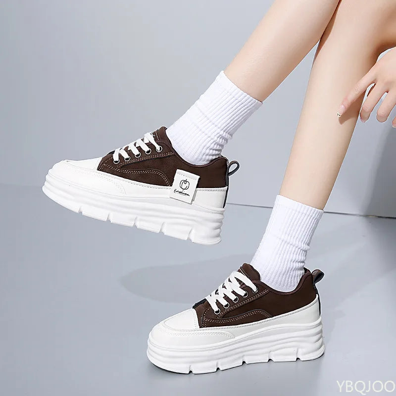 S53690a1220364087a37d66db3d765bb3e